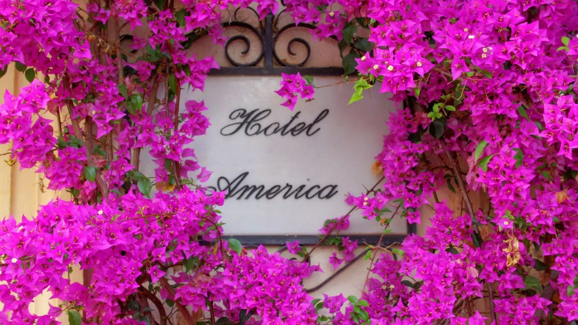 Hotel America Granada Spain